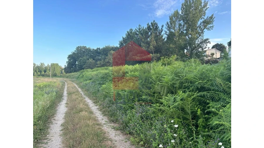 Terreno para Venda em Loureira Foto 7