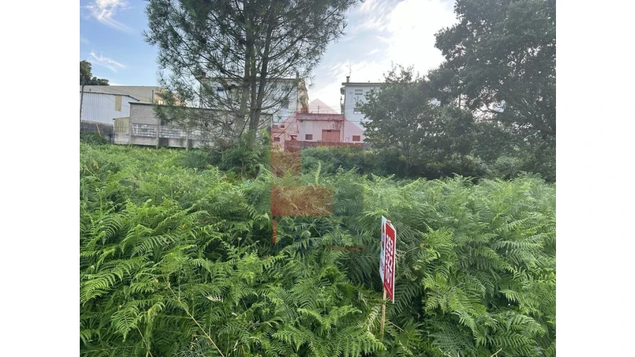 Terreno para Venda em Loureira Foto 3