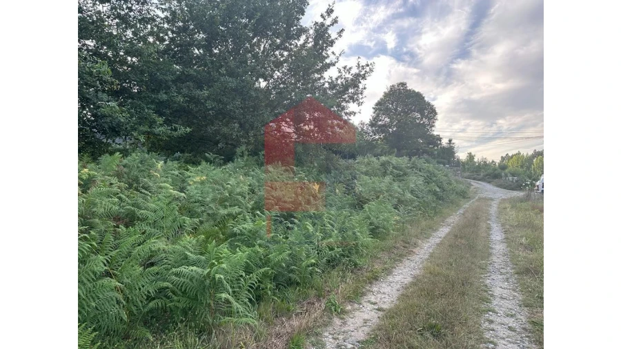 Terreno para Venda em Loureira Foto 5