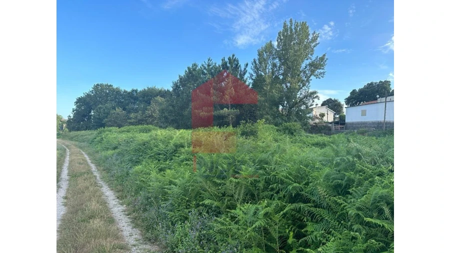 Terreno para Venda em Loureira Foto 2