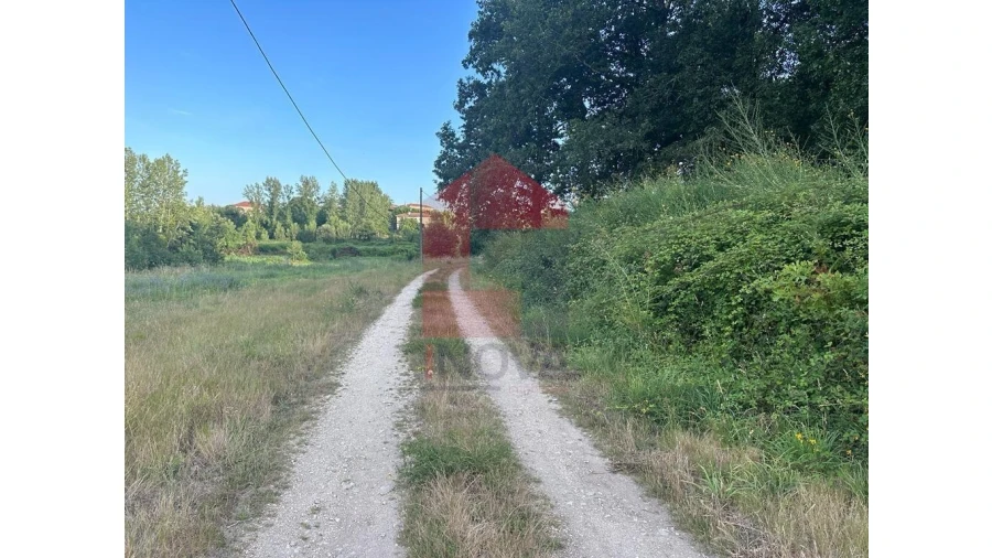 Terreno para Venda em Loureira Foto 8