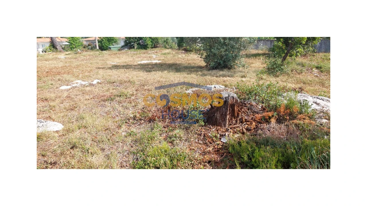Terreno para Venda em Alcobaça e Vestiaria Foto 3