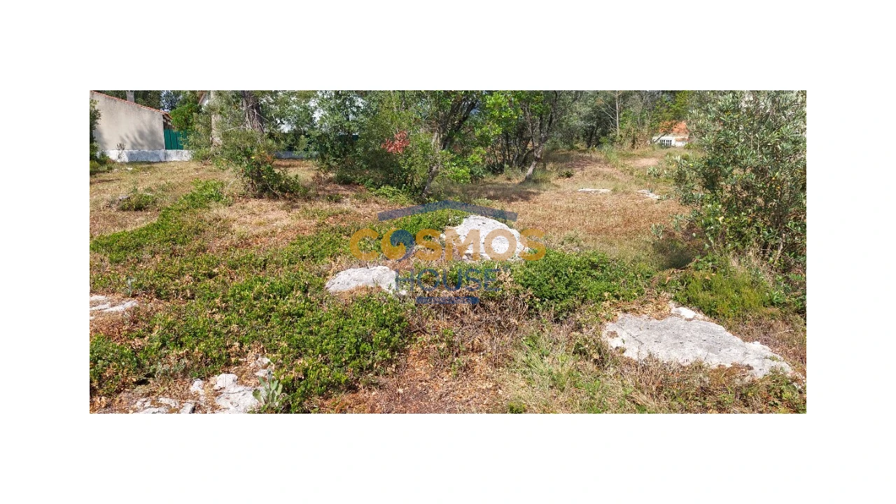 Terreno para Venda em Alcobaça e Vestiaria Foto 4
