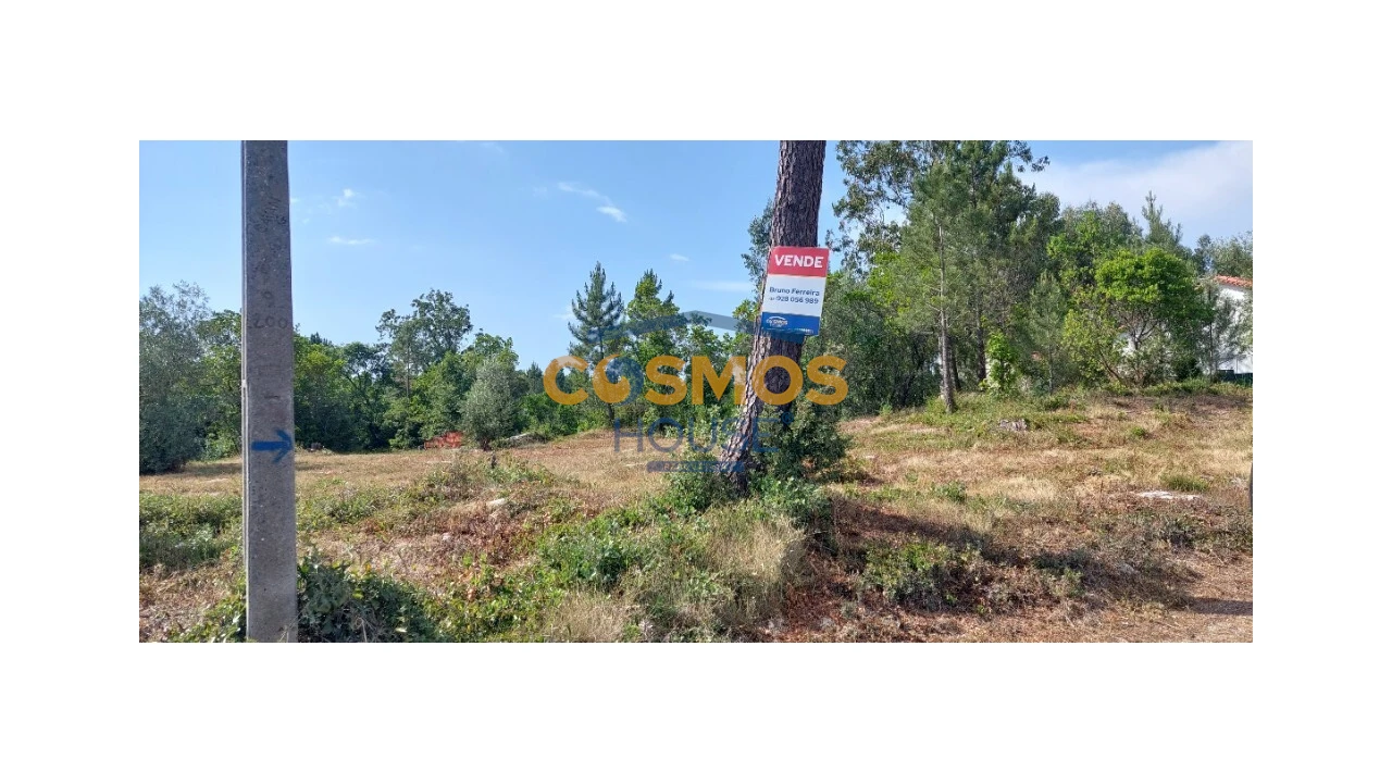 Terreno para Venda em Alcobaça e Vestiaria Foto 17