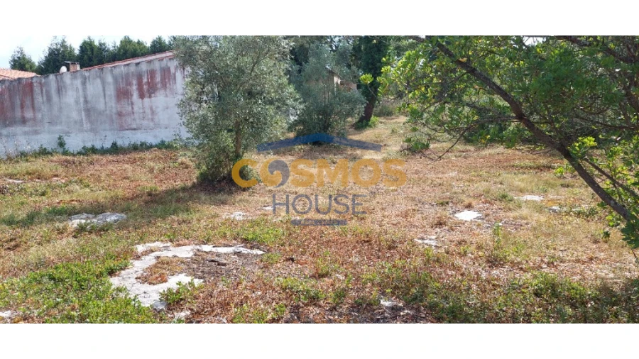 Terreno para Venda em Alcobaça e Vestiaria Foto 1