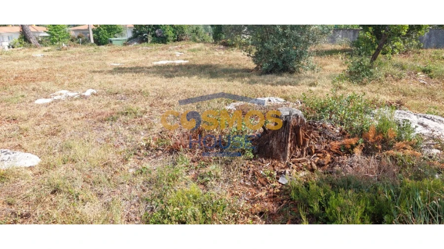 Terreno para Venda em Alcobaça e Vestiaria Foto 3