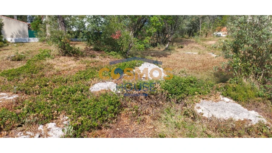 Terreno para Venda em Alcobaça e Vestiaria Foto 4