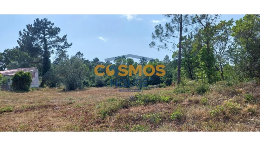 Terreno para Venda em Alcobaça e Vestiaria Foto 6