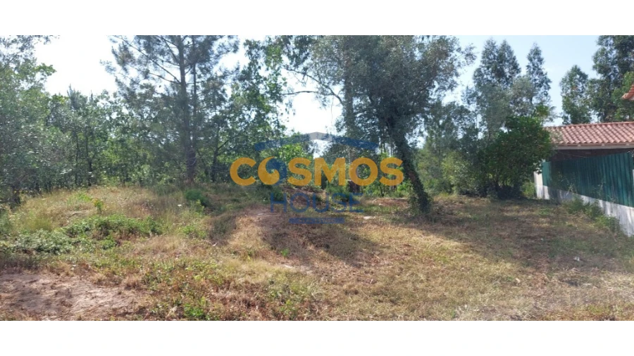 Terreno para Venda em Alcobaça e Vestiaria Foto 7
