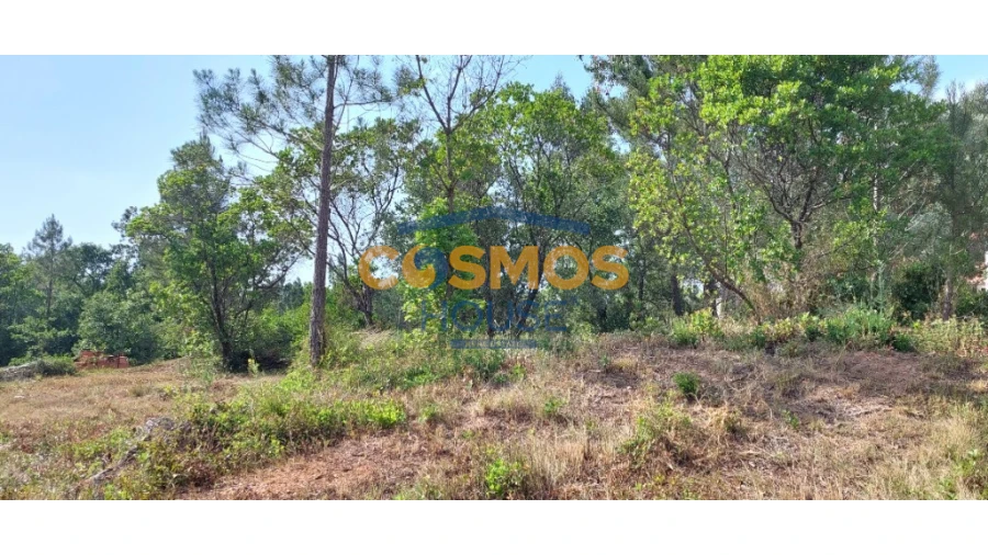 Terreno para Venda em Alcobaça e Vestiaria Foto 13