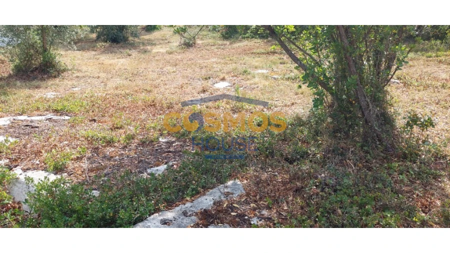 Terreno para Venda em Alcobaça e Vestiaria Foto 2