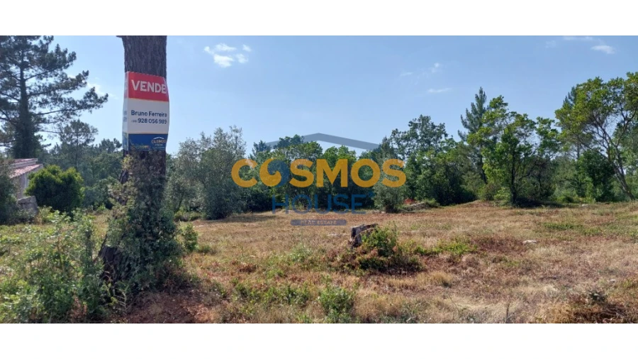 Terreno para Venda em Alcobaça e Vestiaria Foto 16