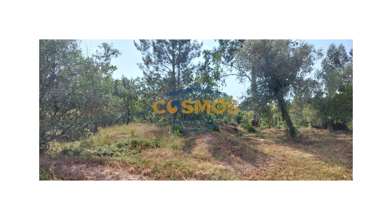 Terreno para Venda em Alcobaça e Vestiaria Foto 8