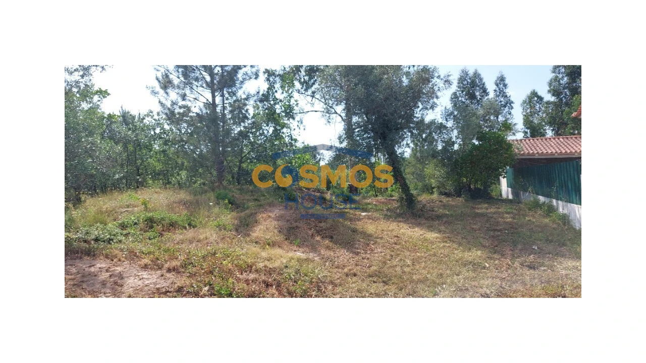 Terreno para Venda em Alcobaça e Vestiaria Foto 7