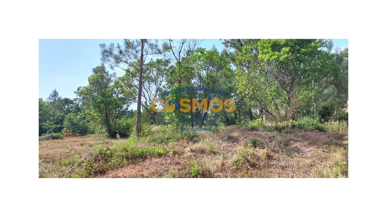 Terreno para Venda em Alcobaça e Vestiaria Foto 13