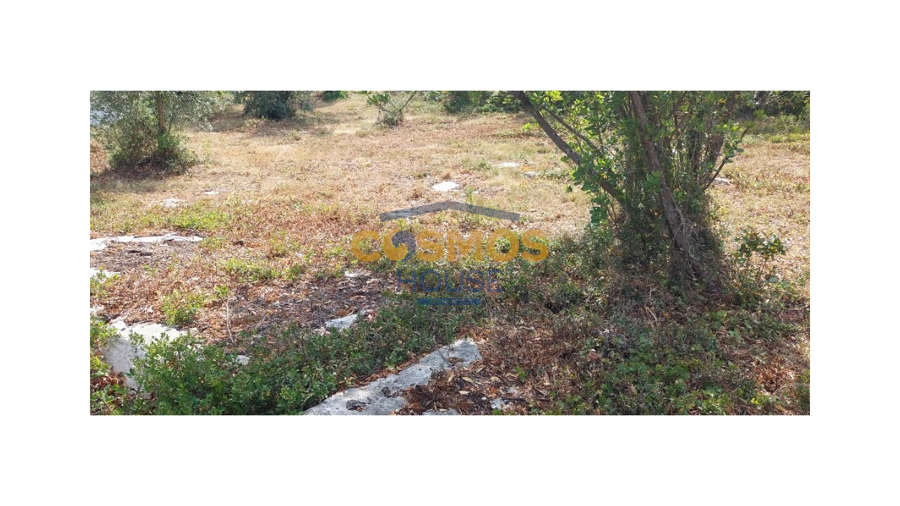 Terreno para Venda em Alcobaça e Vestiaria Foto 2