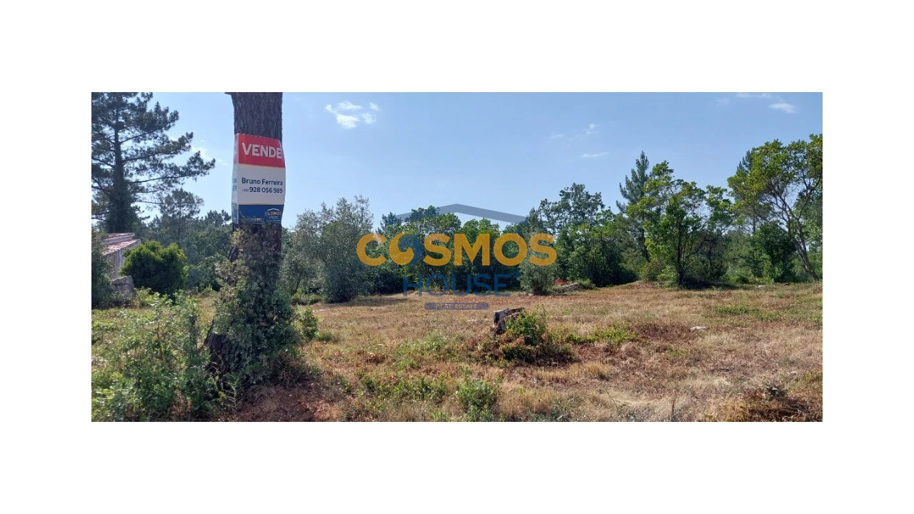 Terreno para Venda em Alcobaça e Vestiaria Foto 16