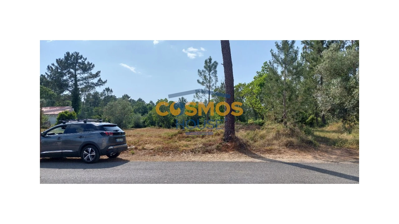 Terreno para Venda em Alcobaça e Vestiaria Foto 12