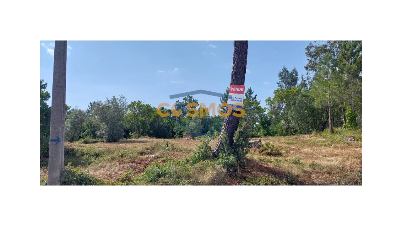 Terreno para Venda em Alcobaça e Vestiaria Foto 18