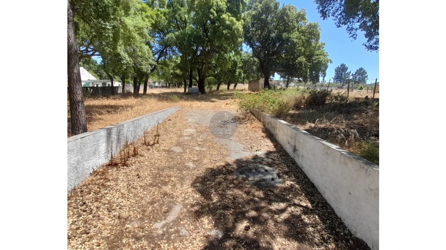 Terreno para Venda em Chamusca e Pinheiro Grande Foto 1