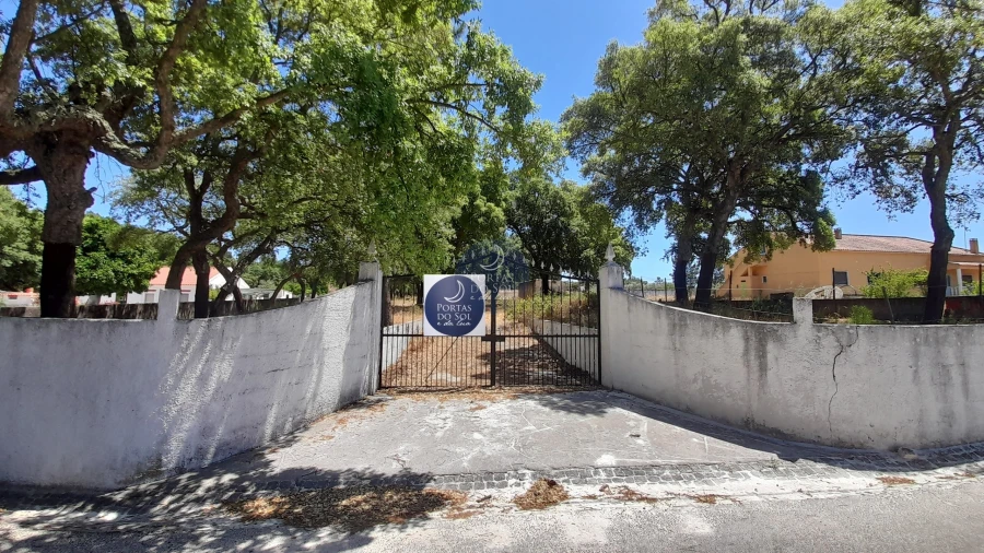 Terreno para Venda em Chamusca e Pinheiro Grande Foto 8