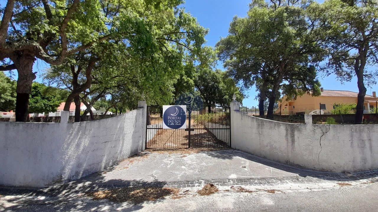 Terreno para Venda em Chamusca e Pinheiro Grande Foto 8