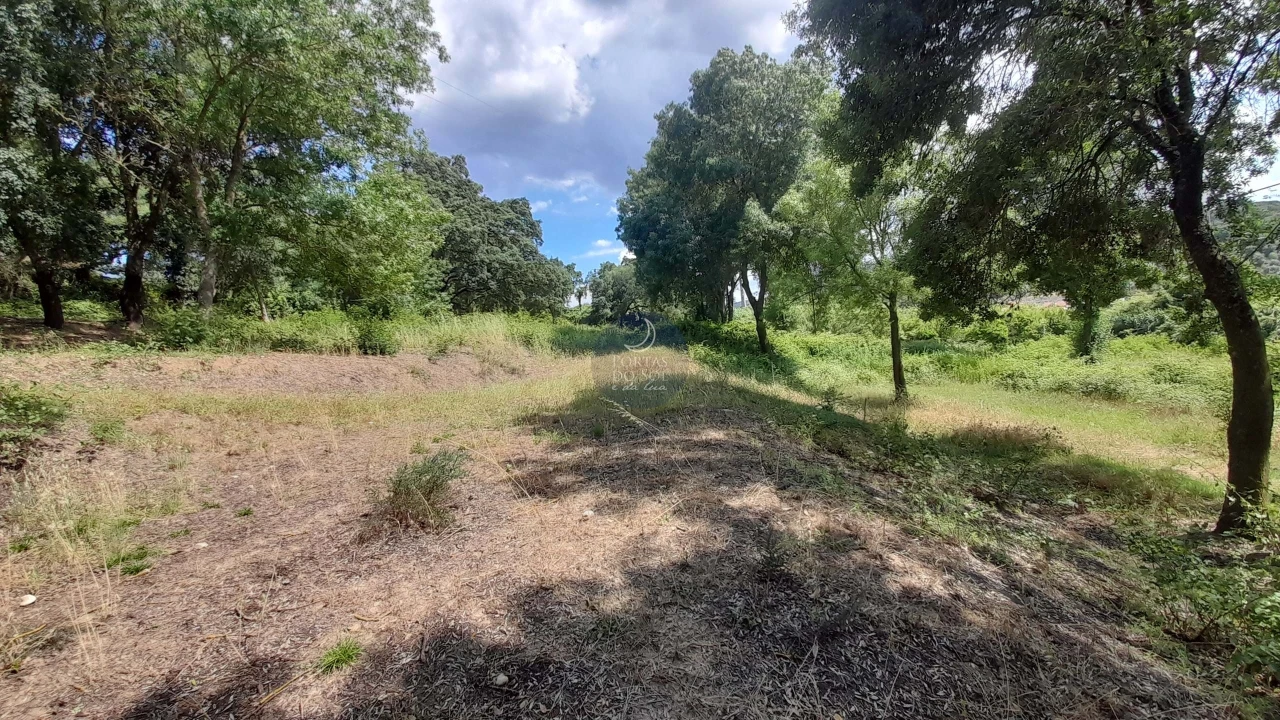 Terreno para Venda em Chamusca e Pinheiro Grande Foto 5