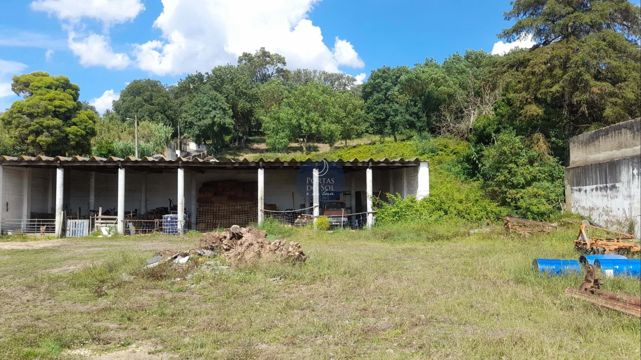 Terreno para Venda em Chamusca e Pinheiro Grande Foto 2
