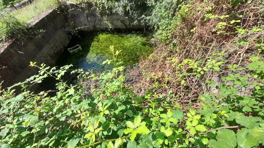 Terreno para Venda em Chamusca e Pinheiro Grande Foto 6