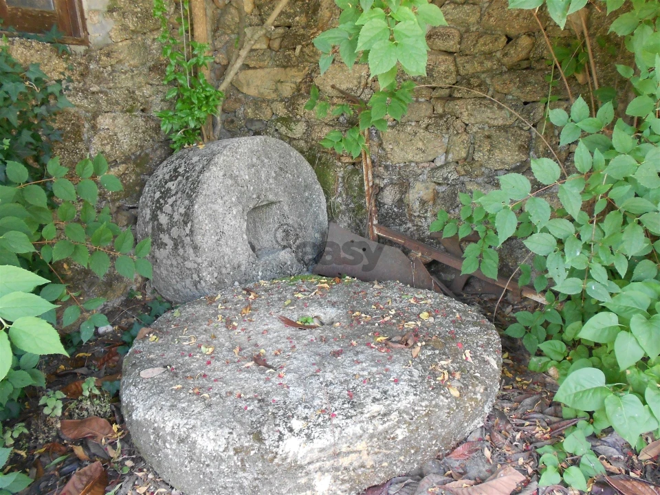 Quinta T11 para Venda em Fradizela Foto 22