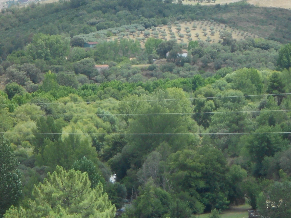 Quinta T11 para Venda em Fradizela Foto 13