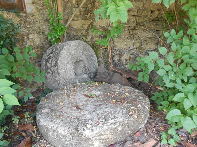 Quinta T11 para Venda em Fradizela Foto 22