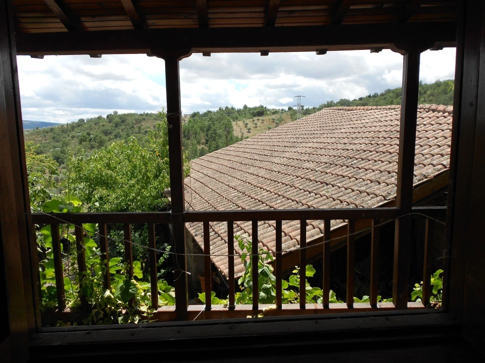 Quinta T11 para Venda em Fradizela Foto 10