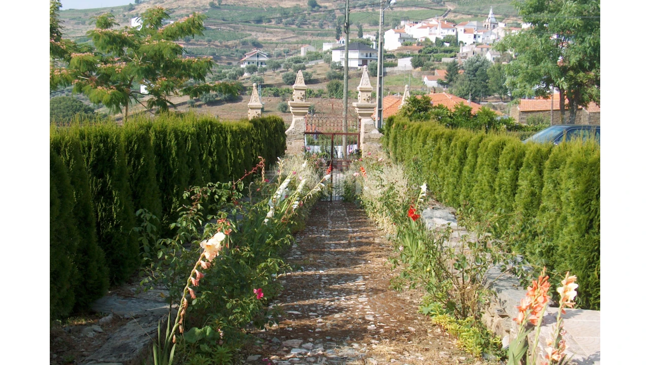Quinta T10 para Venda em Ervedosa do Douro Foto 56