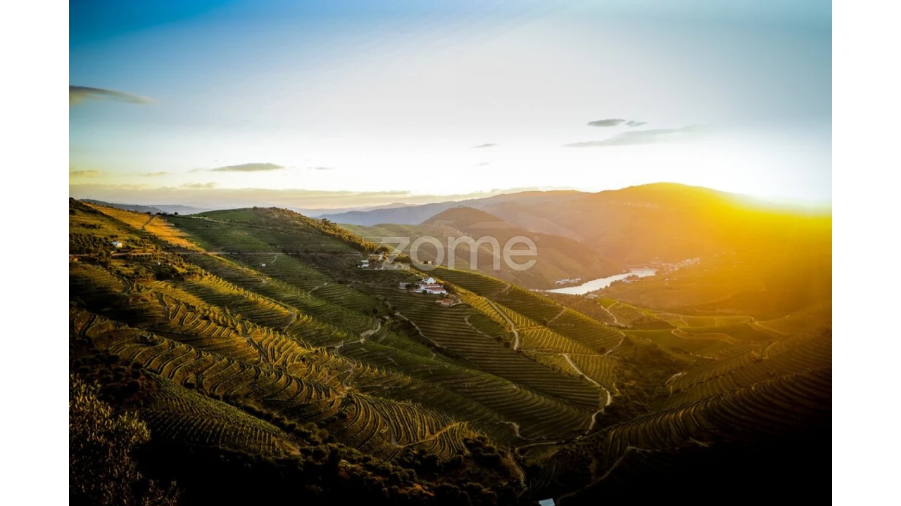Quinta T10 para Venda em Ervedosa do Douro Foto 18