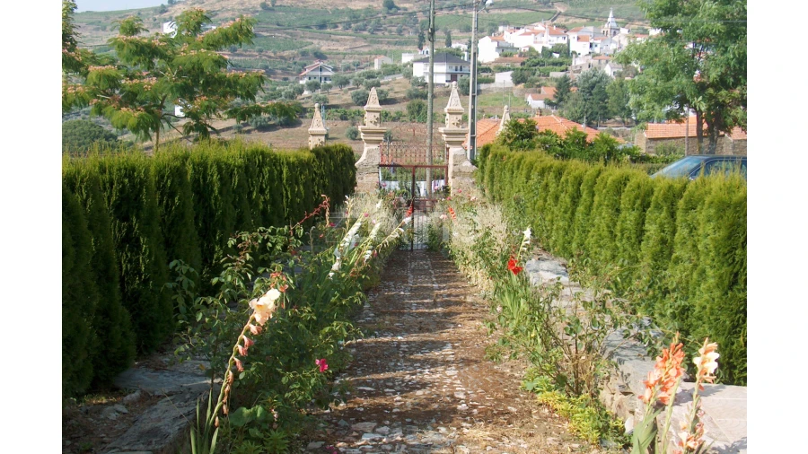 Quinta T10 para Venda em Ervedosa do Douro Foto 56