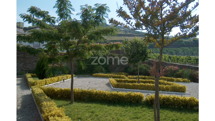 Quinta T10 para Venda em Ervedosa do Douro Foto 57