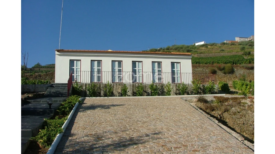 Quinta T10 para Venda em Ervedosa do Douro Foto 61