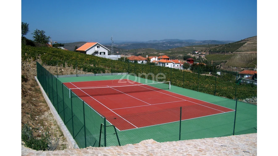 Quinta T10 para Venda em Ervedosa do Douro Foto 3