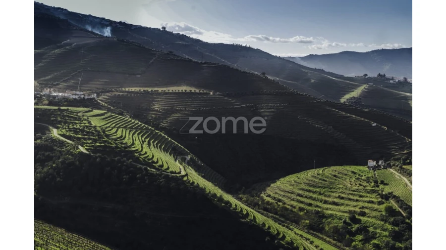 Quinta T10 para Venda em Ervedosa do Douro Foto 17