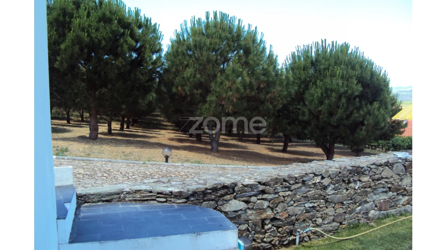 Quinta T10 para Venda em Ervedosa do Douro Foto 32