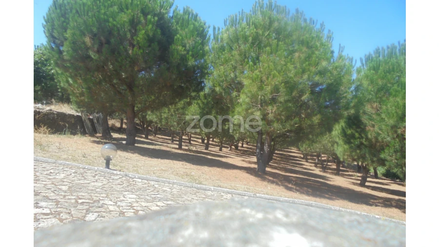 Quinta T10 para Venda em Ervedosa do Douro Foto 43