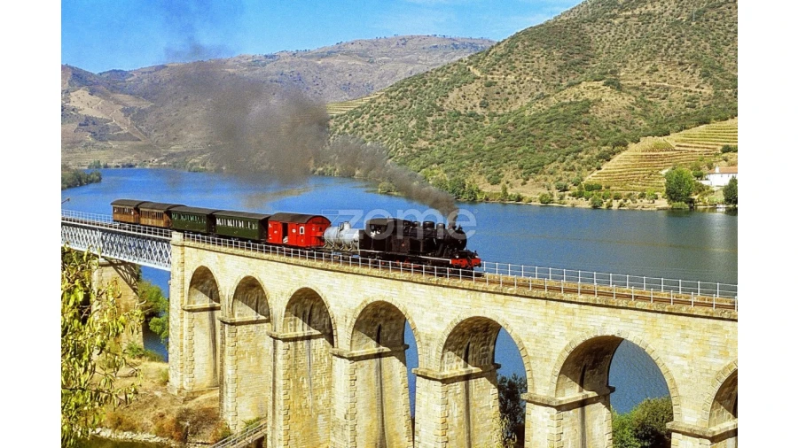 Quinta T10 para Venda em Ervedosa do Douro Foto 16