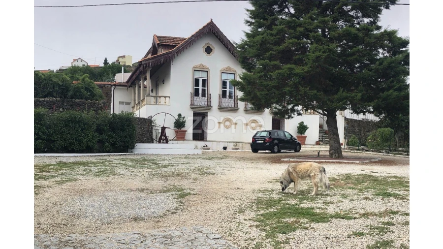 Quinta T10 para Venda em Ervedosa do Douro Foto 12