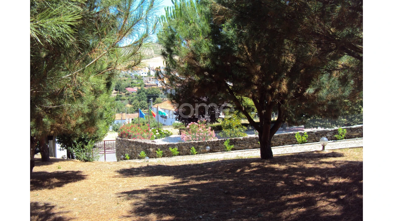 Quinta T10 para Venda em Ervedosa do Douro Foto 40