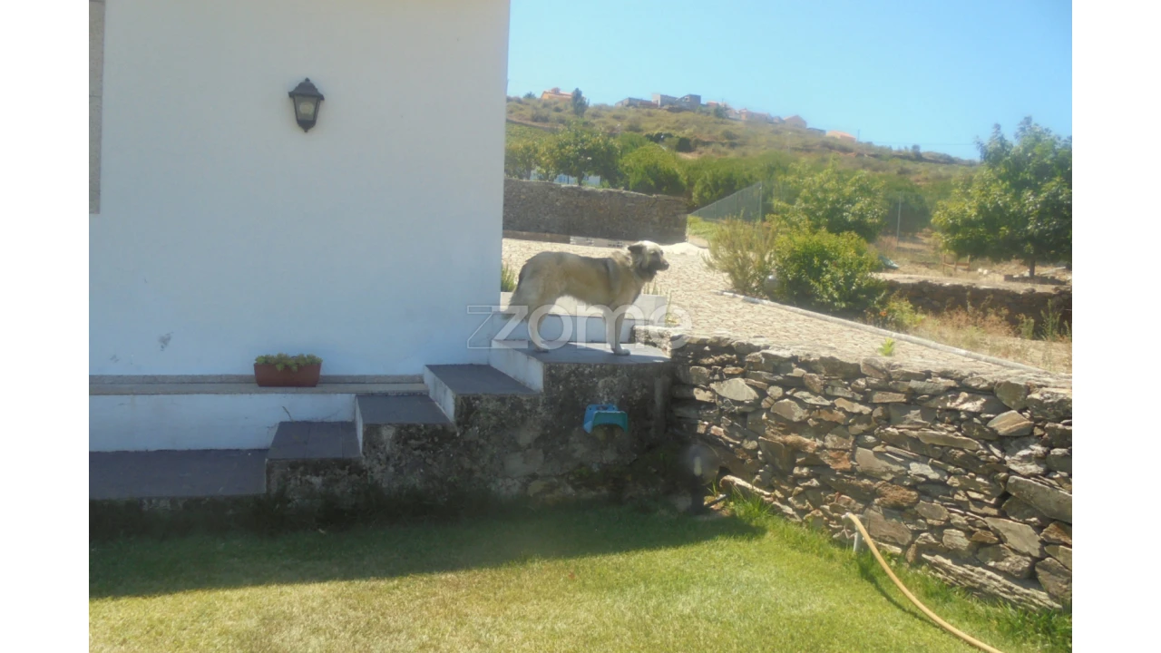 Quinta T10 para Venda em Ervedosa do Douro Foto 42