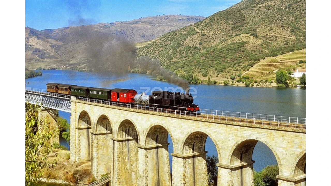 Quinta T10 para Venda em Ervedosa do Douro Foto 16