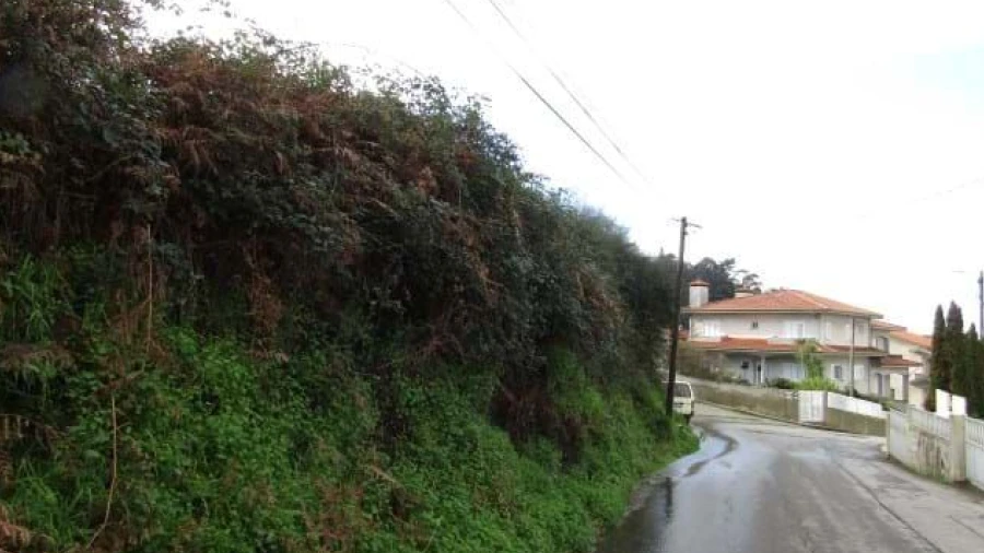 Terreno P/ Prédio para Venda em Nogueira da Regedoura