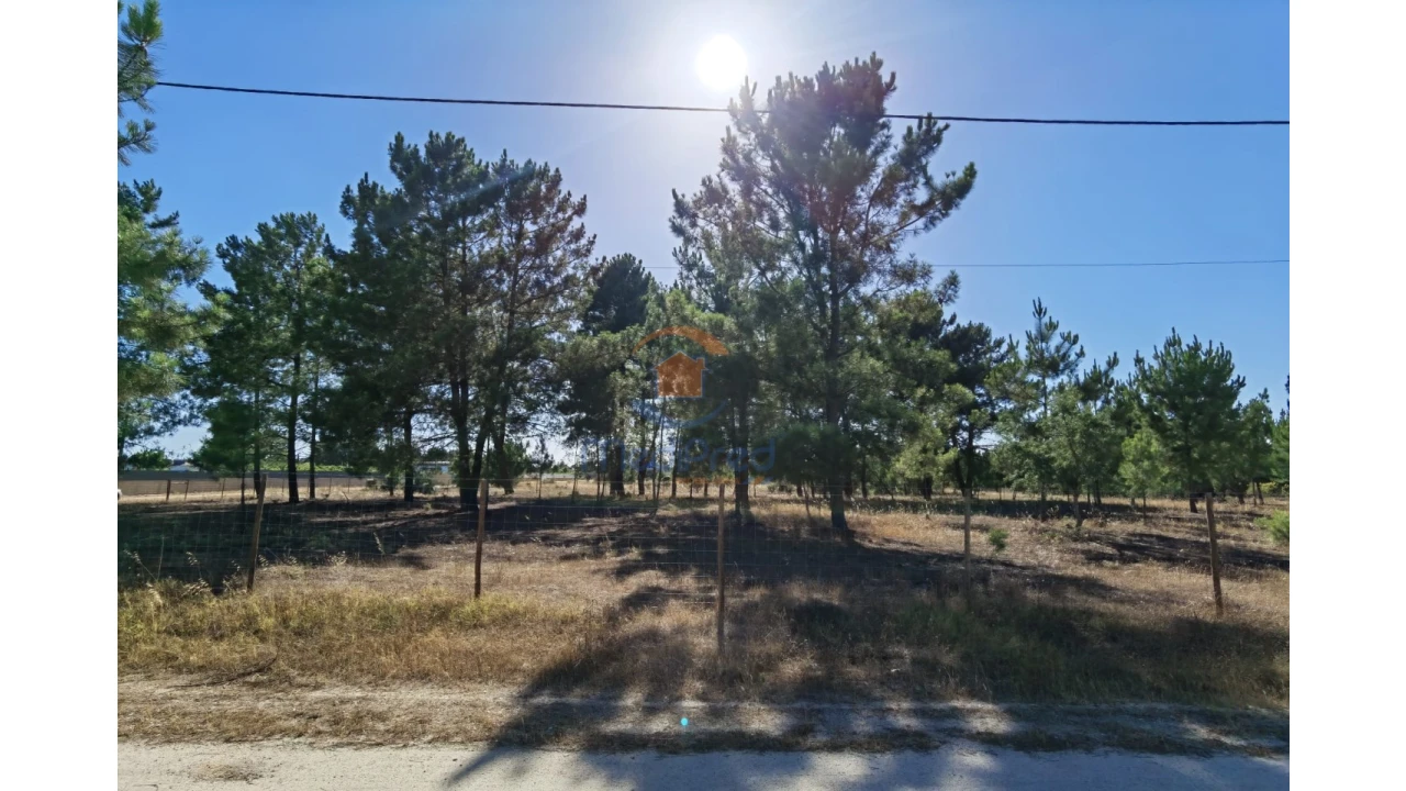 Terreno Agricola ou Rústico para Venda em Pinhal Novo Foto 1