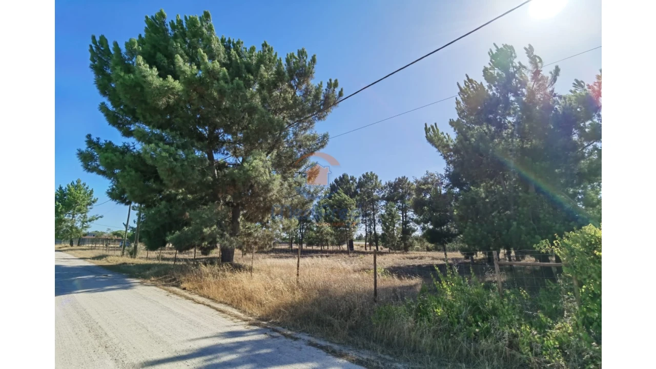 Terreno Agricola ou Rústico para Venda em Pinhal Novo Foto 2